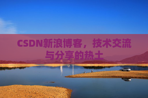 CSDN新浪博客，技术交流与分享的热土